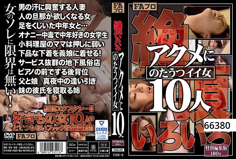 絶頂いろいろ アクメにのたうつイイ女10人
