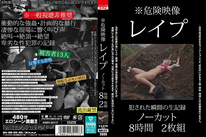 ※危険映像 レ●プ ノーカット8時間2枚組